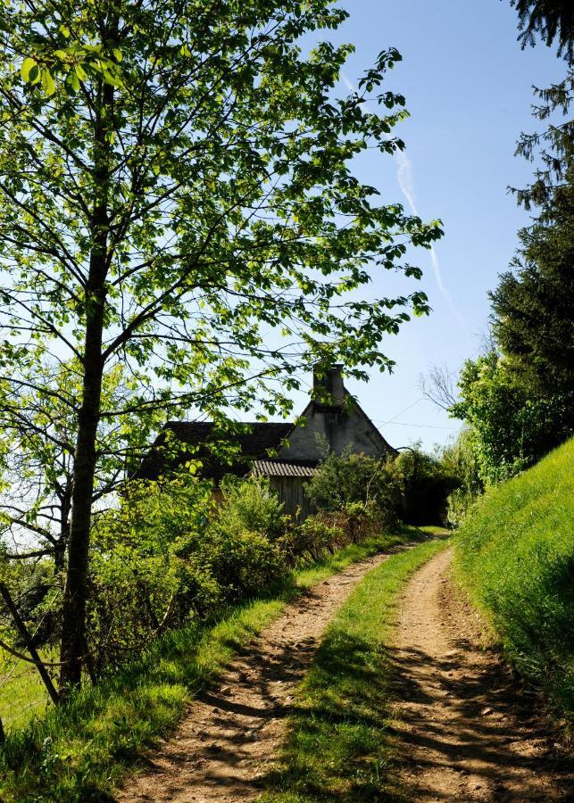 Villa Le Bourmier Anlhiac Near Excideuil Extérieur photo