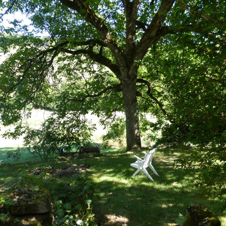 Villa Le Bourmier Anlhiac Near Excideuil Extérieur photo