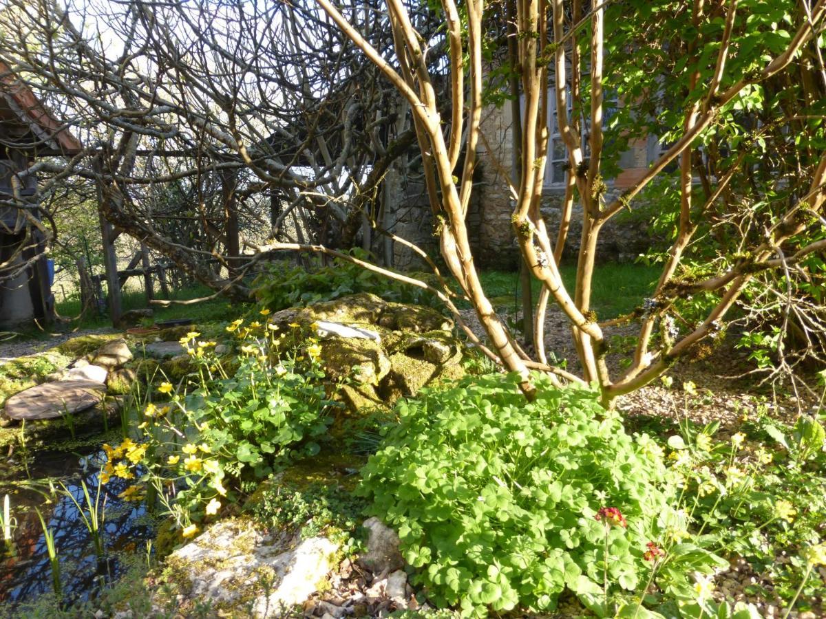 Villa Le Bourmier Anlhiac Near Excideuil Extérieur photo